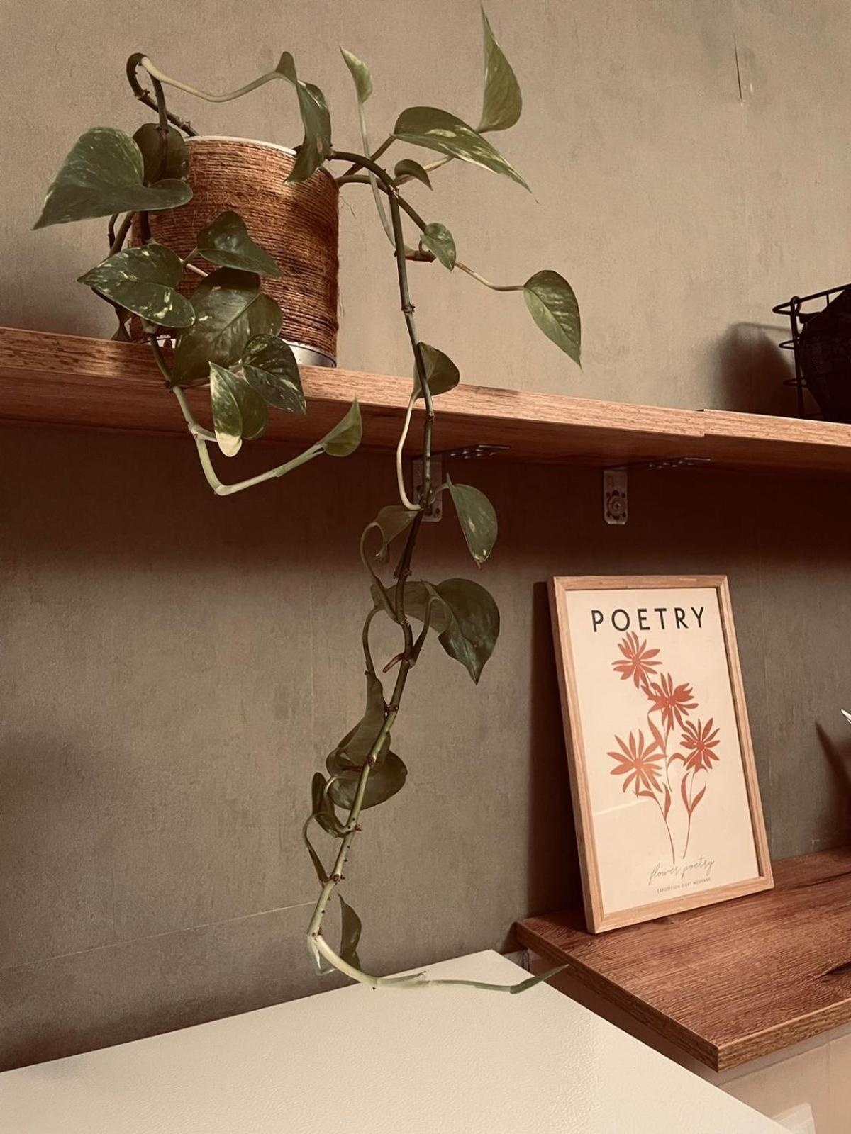Drd Pristine Apartment Zewnętrze zdjęcie